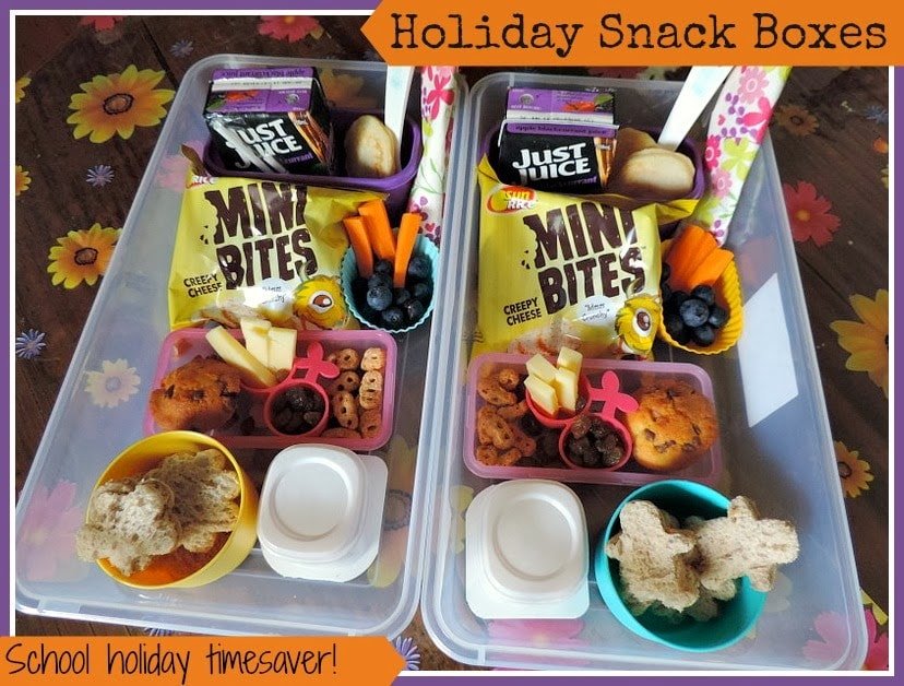 Holiday Snack Box Ideas for Kids! - The Empowered Educator