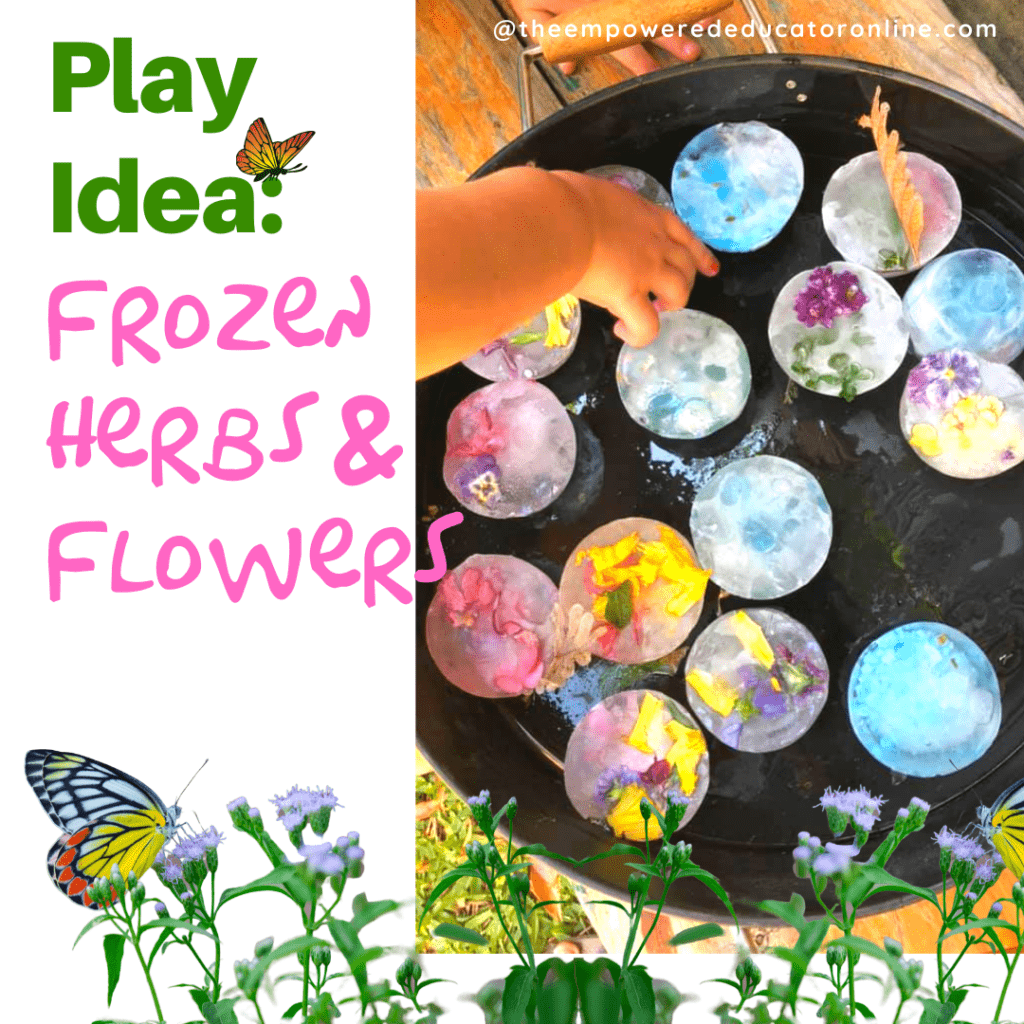 How to set up invitations to play using nature - ideas for educators!